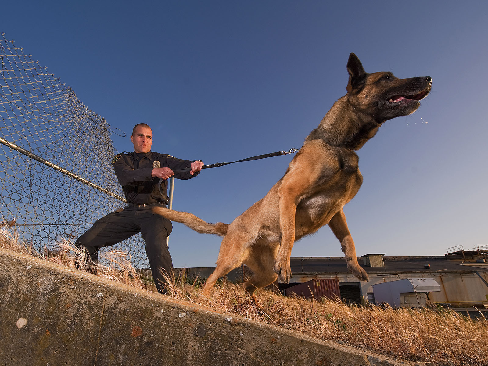 Police-Dog-with-Officer-copy.jpg