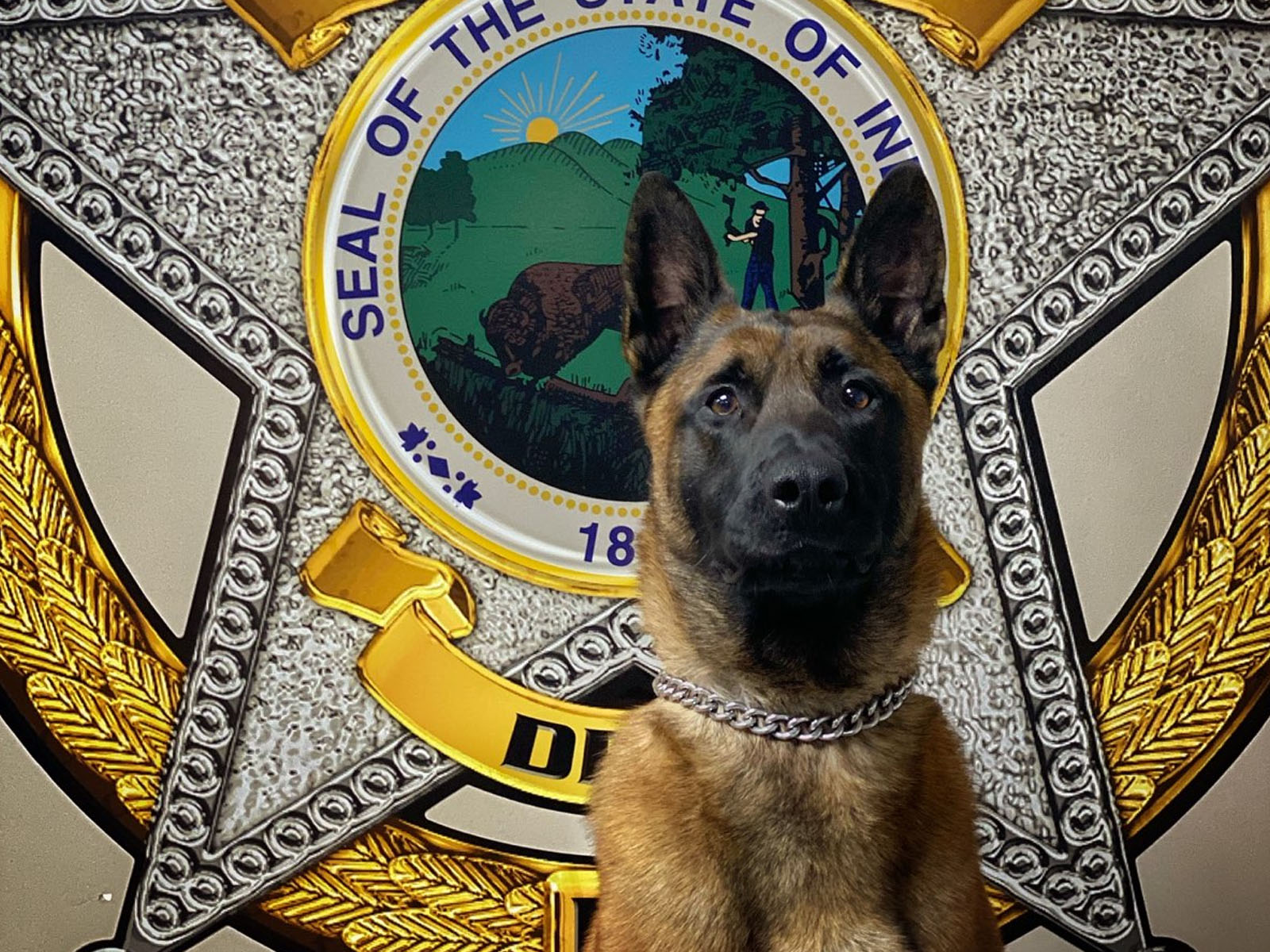 Marshall County Sheriff K9